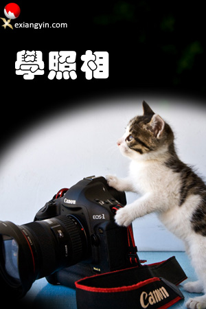 a0