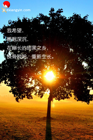 a8