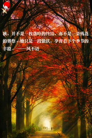 feng1