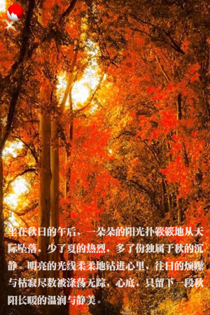 feng2