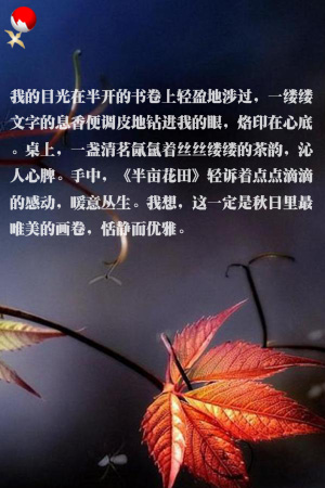 feng3