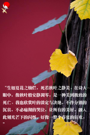 feng5