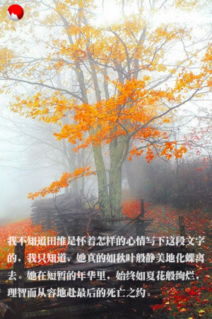 feng6