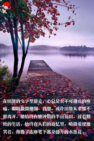 feng7