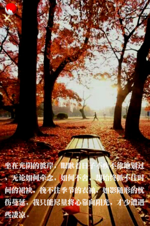 feng9