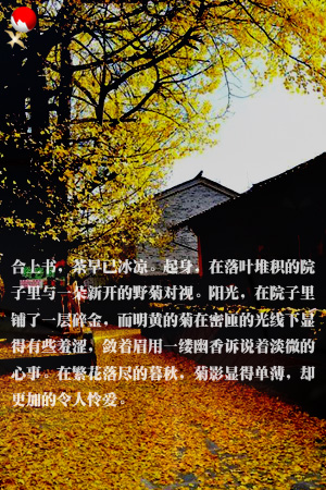 feng9a
