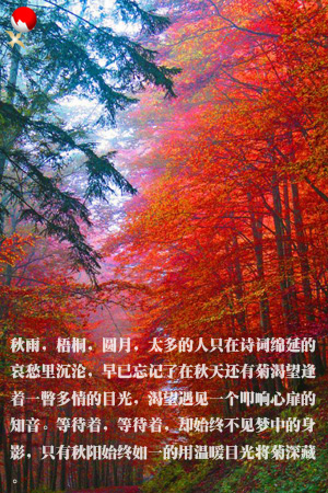 feng9b