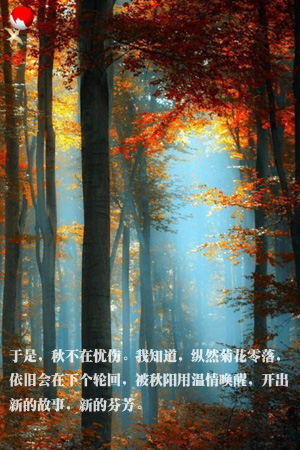 feng9c