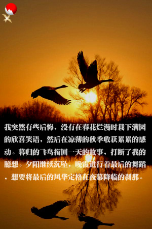 feng9e