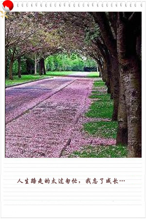 li8