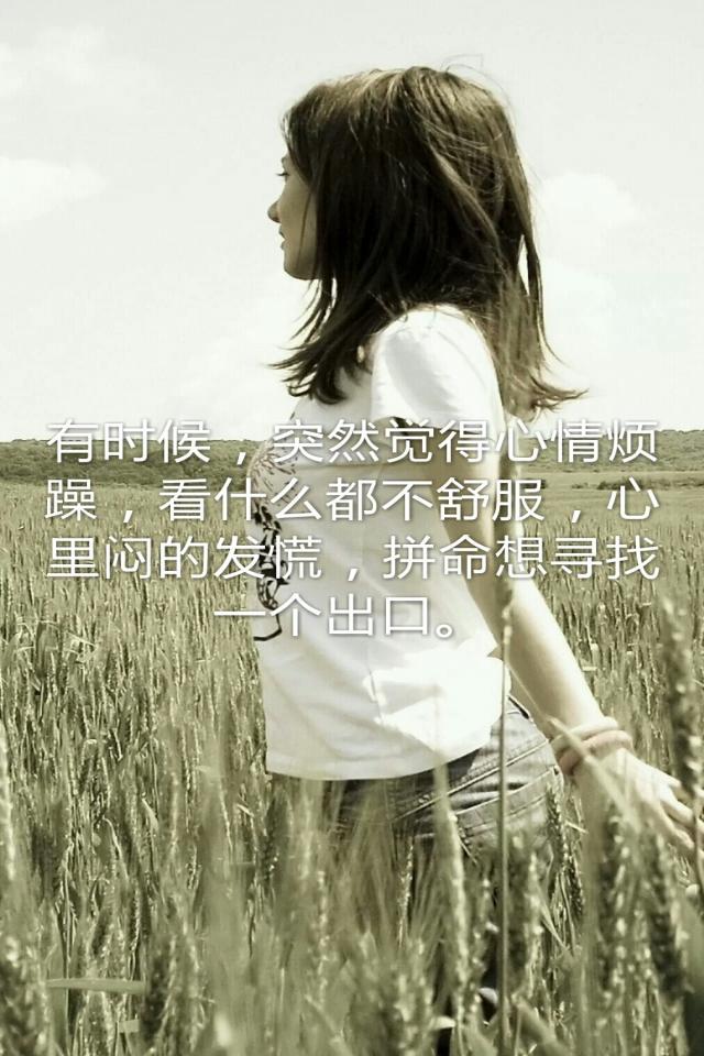 n_533f771809faf (14)