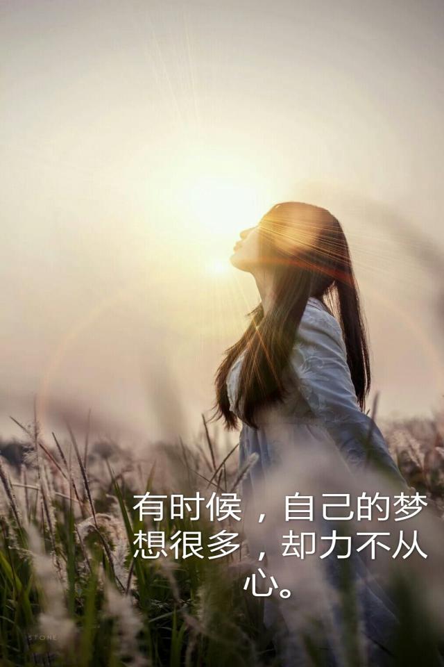 n_533f771809faf (16)